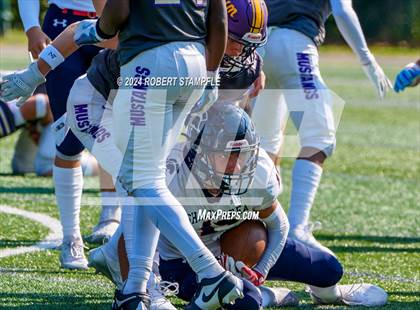 Thumbnail 3 in Plum @ Shaler Area photogallery.