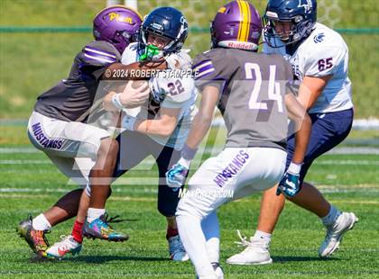 Thumbnail 1 in Plum @ Shaler Area photogallery.