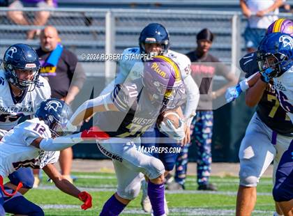 Thumbnail 1 in Plum @ Shaler Area photogallery.