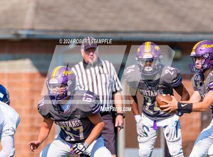 Thumbnail 2 in Plum @ Shaler Area photogallery.