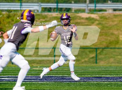 Thumbnail 3 in Plum @ Shaler Area photogallery.