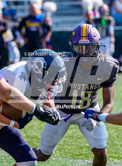 Thumbnail 3 in Plum @ Shaler Area photogallery.