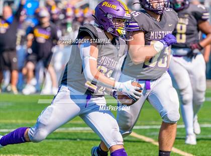 Thumbnail 2 in Plum @ Shaler Area photogallery.