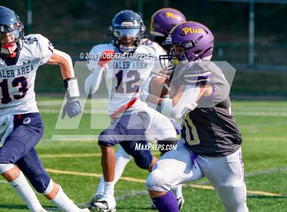 Thumbnail 1 in Plum @ Shaler Area photogallery.