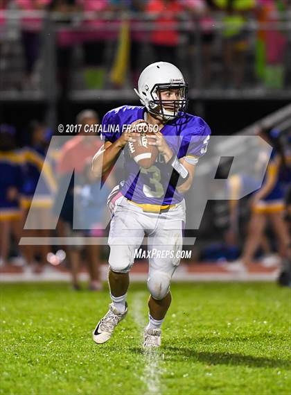 Thumbnail 3 in Washingtonville @ Warwick photogallery.