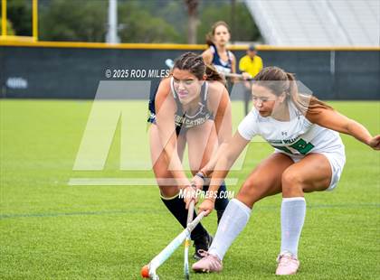 Thumbnail 1 in Archie Williams @ Marin Catholic photogallery.