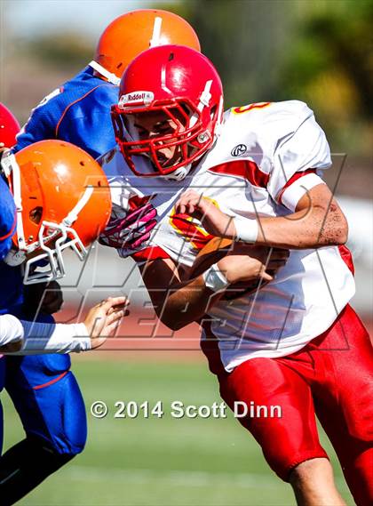 Thumbnail 3 in Willow Glen @ Santa Teresa photogallery.