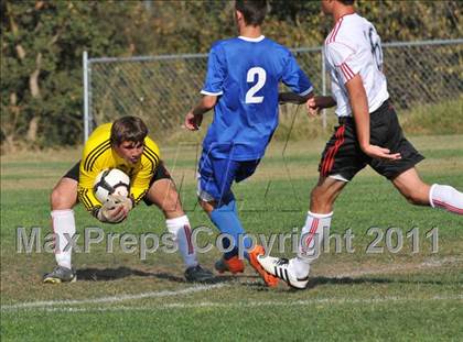 Thumbnail 2 in Del Campo @ Bella Vista photogallery.