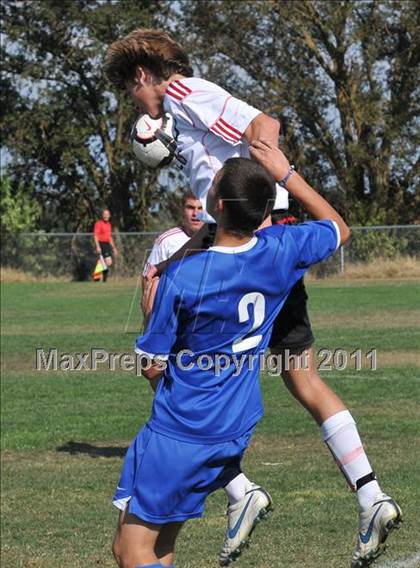 Thumbnail 3 in Del Campo @ Bella Vista photogallery.