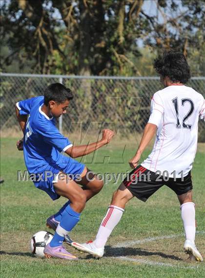 Thumbnail 2 in Del Campo @ Bella Vista photogallery.