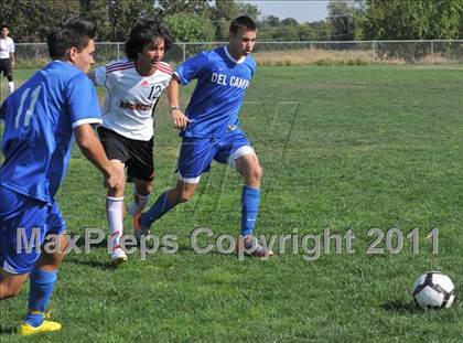 Thumbnail 3 in Del Campo @ Bella Vista photogallery.