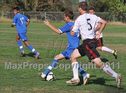 Thumbnail 3 in Del Campo @ Bella Vista photogallery.