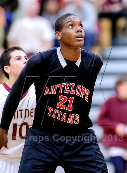 Thumbnail 3 in Antelope @ Whitney photogallery.
