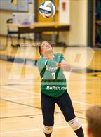 Photo from the gallery "Monterey Trail @ River City"