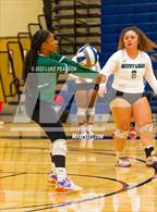 Photo from the gallery "Monterey Trail @ River City"