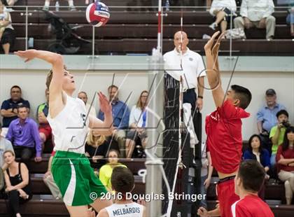 Thumbnail 2 in Saratoga vs. Leigh (CIF CCS D2 Final) photogallery.