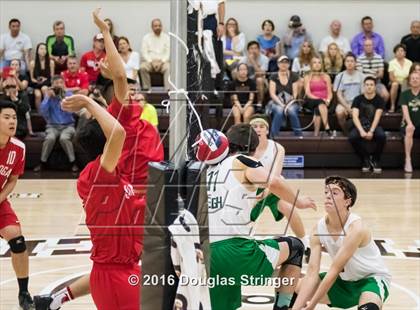 Thumbnail 2 in Saratoga vs. Leigh (CIF CCS D2 Final) photogallery.