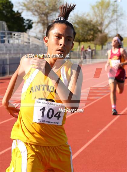 Thumbnail 1 in BVAL Boys Cross Country Championship photogallery.