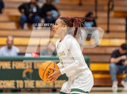 Thumbnail 1 in South View @ Pine Forest photogallery.