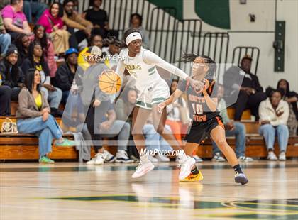 Thumbnail 2 in South View @ Pine Forest photogallery.