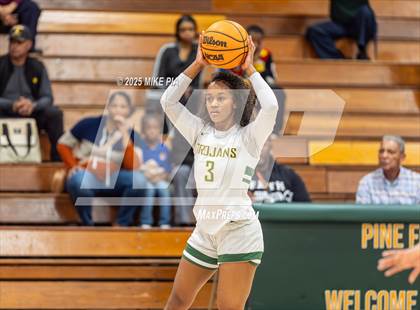 Thumbnail 3 in South View @ Pine Forest photogallery.