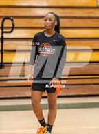 Photo from the gallery "South View @ Pine Forest"