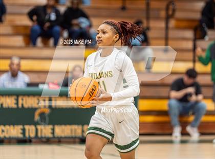 Thumbnail 3 in South View @ Pine Forest photogallery.