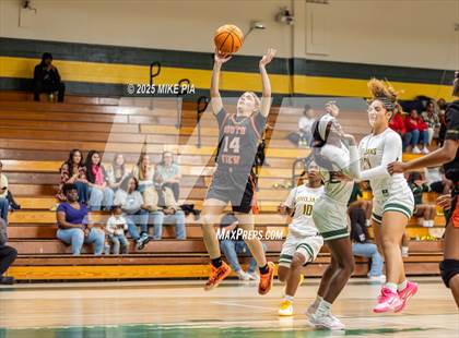 Thumbnail 1 in South View @ Pine Forest photogallery.