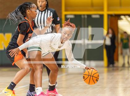 Thumbnail 3 in South View @ Pine Forest photogallery.