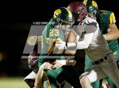 Thumbnail 3 in Walden Grove @ Canyon del Oro photogallery.