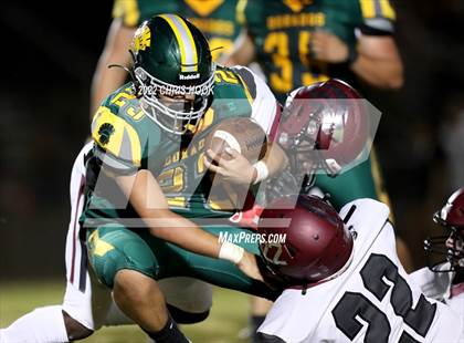 Thumbnail 3 in Walden Grove @ Canyon del Oro photogallery.