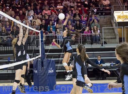 Thumbnail 2 in Veritas Prep @ Northwest Christian (AIA D4 Final) photogallery.