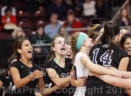 Thumbnail 1 in Veritas Prep @ Northwest Christian (AIA D4 Final) photogallery.