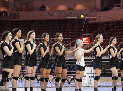 Thumbnail 3 in Veritas Prep @ Northwest Christian (AIA D4 Final) photogallery.