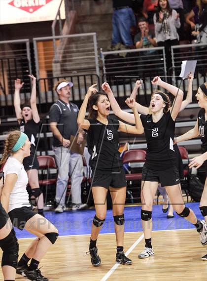 Thumbnail 1 in Veritas Prep @ Northwest Christian (AIA D4 Final) photogallery.