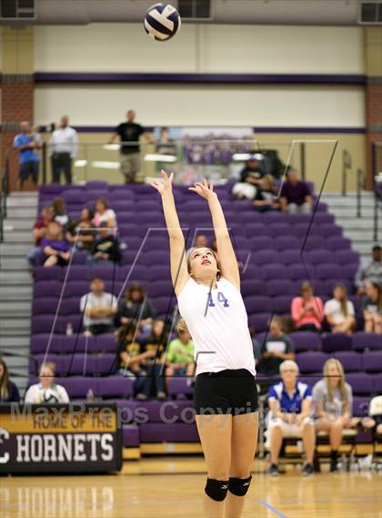 Thumbnail 1 in Maize South @ Andover photogallery.
