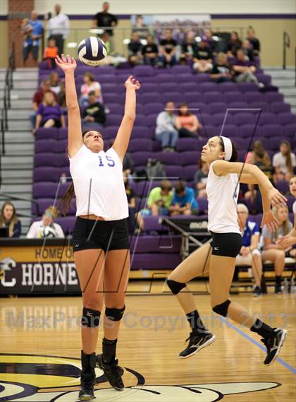 Thumbnail 1 in Maize South @ Andover photogallery.
