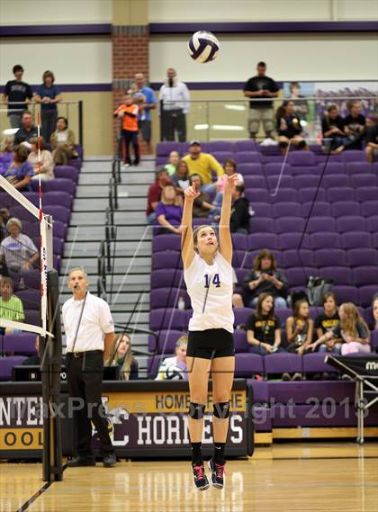 Thumbnail 1 in Maize South @ Andover photogallery.