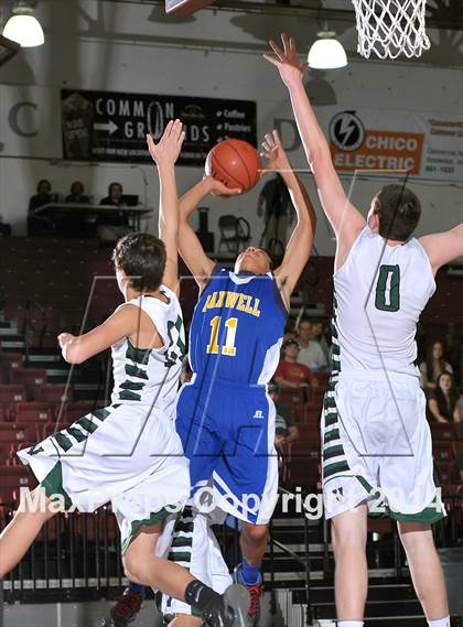 Thumbnail 1 in Maxwell vs. Chster (CIF NS D6 Final) photogallery.