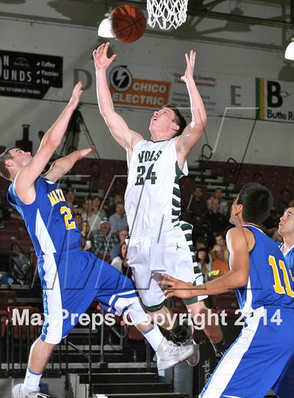 Thumbnail 3 in Maxwell vs. Chster (CIF NS D6 Final) photogallery.