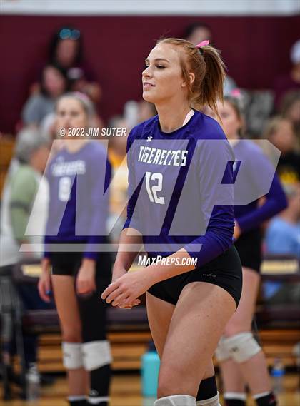 Thumbnail 1 in Thorndale vs Thrall photogallery.
