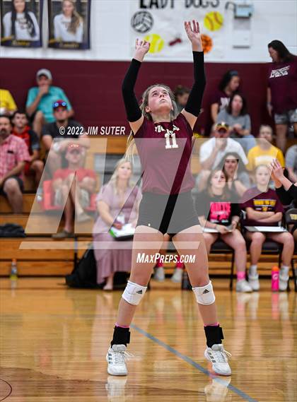 Thumbnail 1 in Thorndale vs Thrall photogallery.