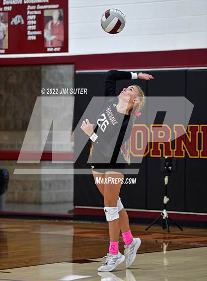 Thumbnail 1 in Thorndale vs Thrall photogallery.