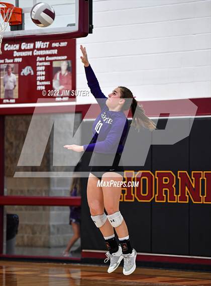 Thumbnail 3 in Thorndale vs Thrall photogallery.