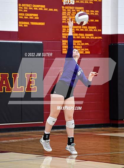 Thumbnail 1 in Thorndale vs Thrall photogallery.