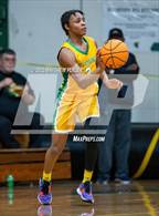 Photo from the gallery "Richmond @ Pine Forest"