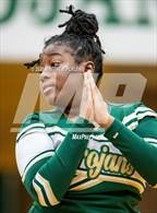 Photo from the gallery "Richmond @ Pine Forest"