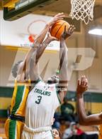 Photo from the gallery "Richmond @ Pine Forest"