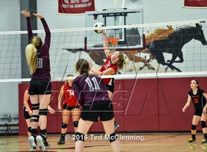 Thumbnail 3 in Harmony Grove @ Perryville photogallery.