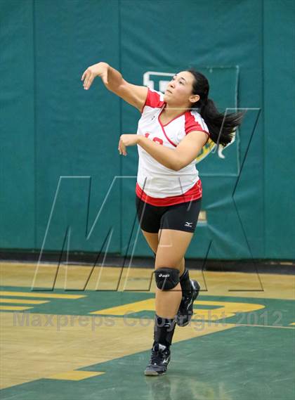 Thumbnail 3 in Mira Loma @ Rio Americano photogallery.